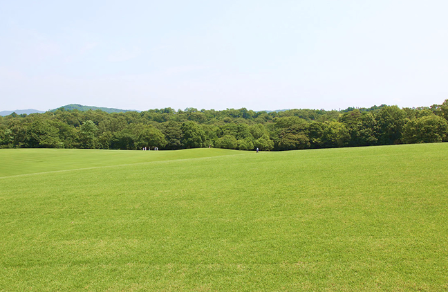 愛知森林公園