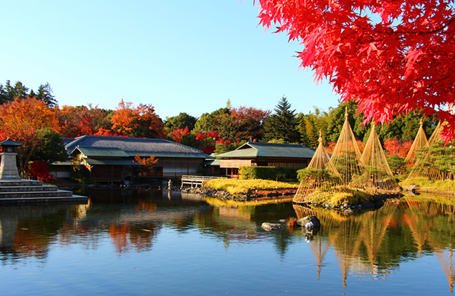 白鳥庭園