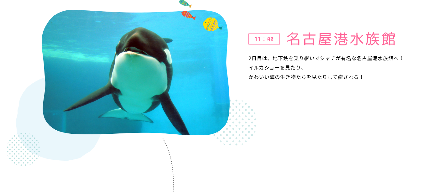 11:00名古屋港水族館